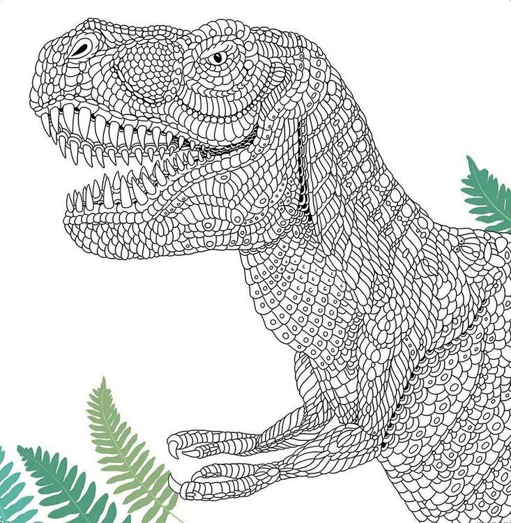 Dinosauria Dinosaurs to Colour and Facts to Discover - 4+ - Paperback by Claire Scully